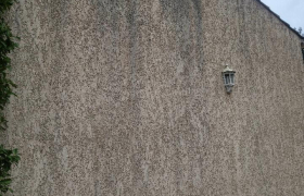 Traitement de façade antimouse et hydrefuge effet perlant travaux effectués sur la commune de garéoul 